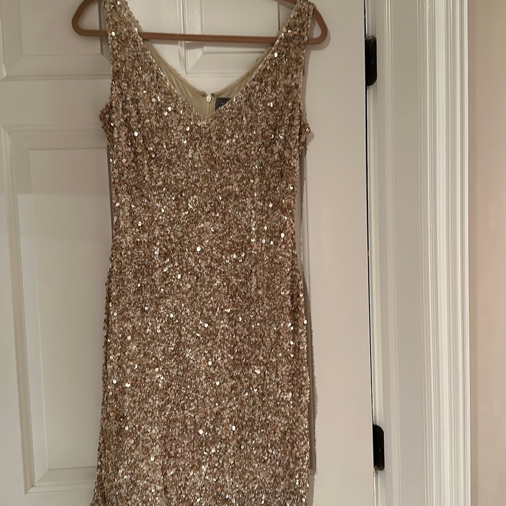 Their sequin v neck back zip dress.